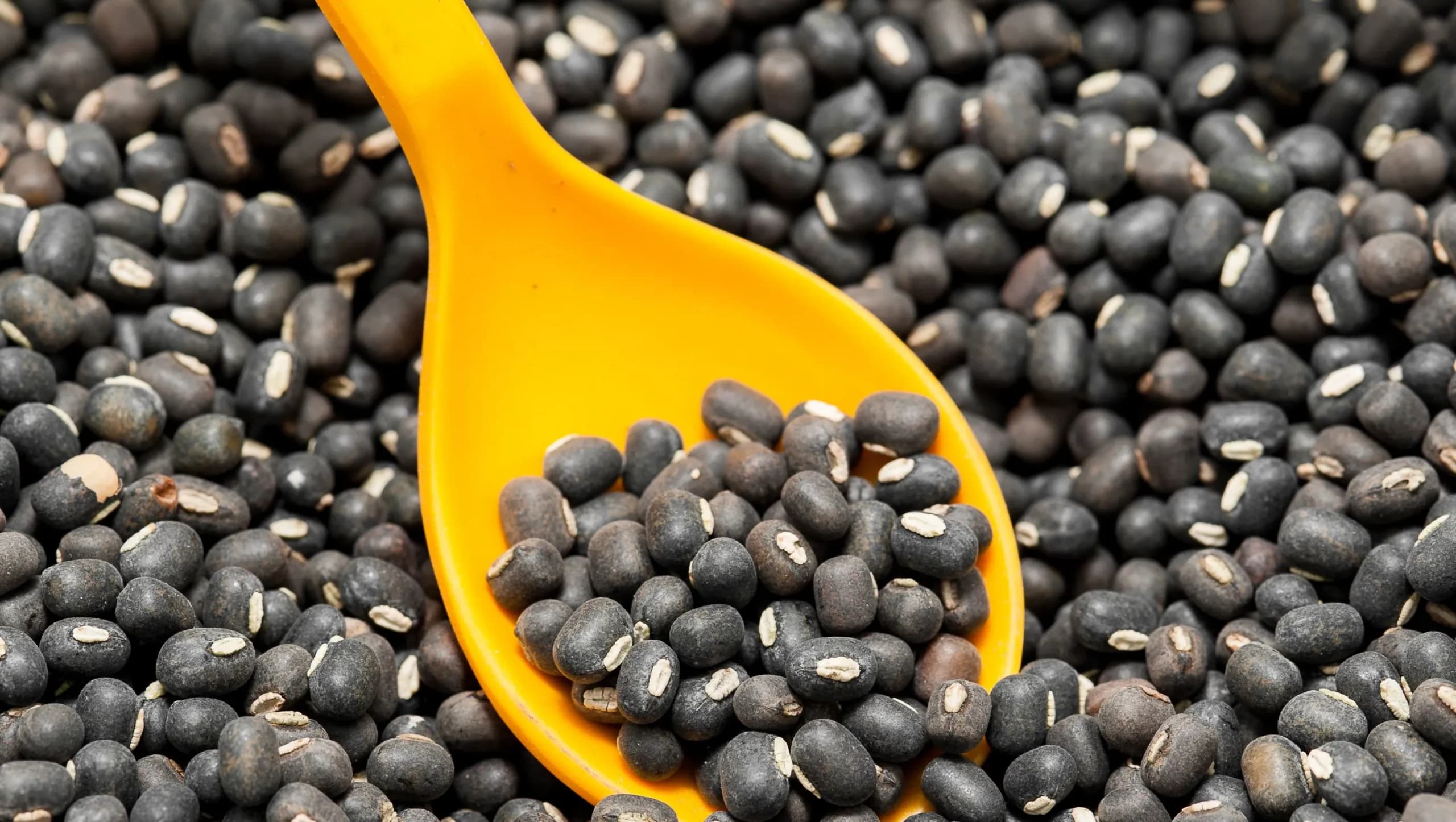 Blackgram Whole (Urad Sabut)