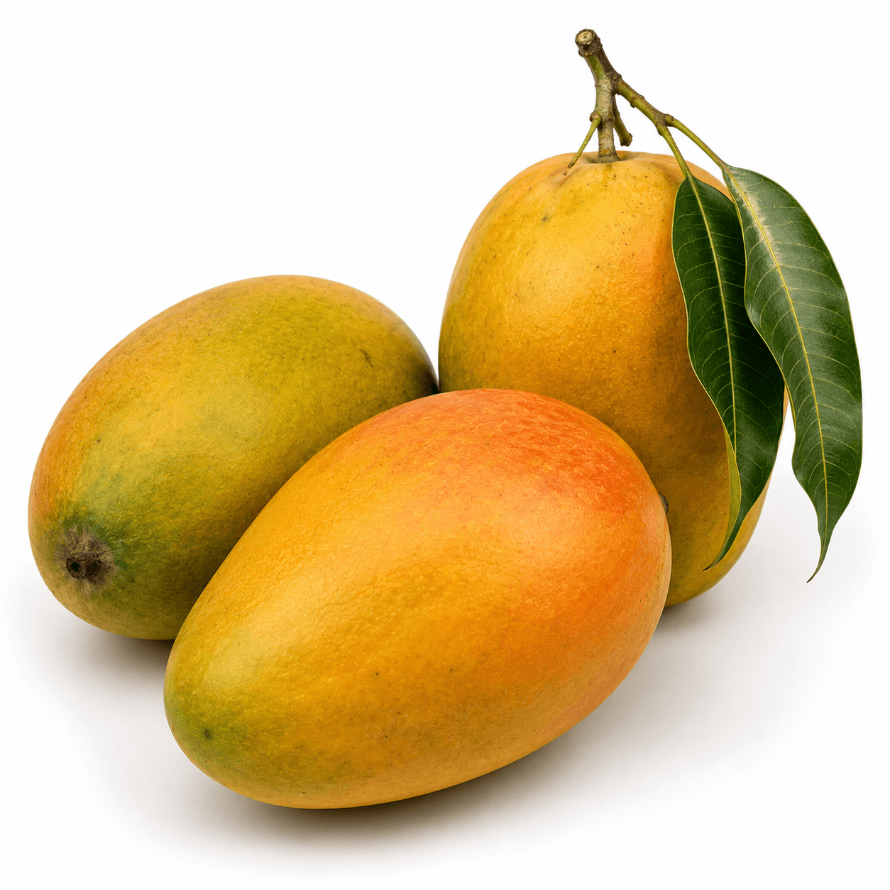 Kesar Mango