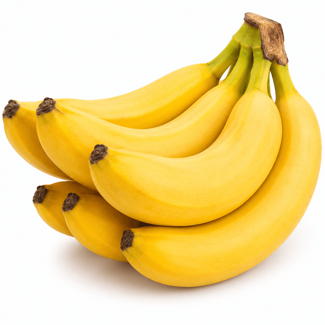 Banana Robusta