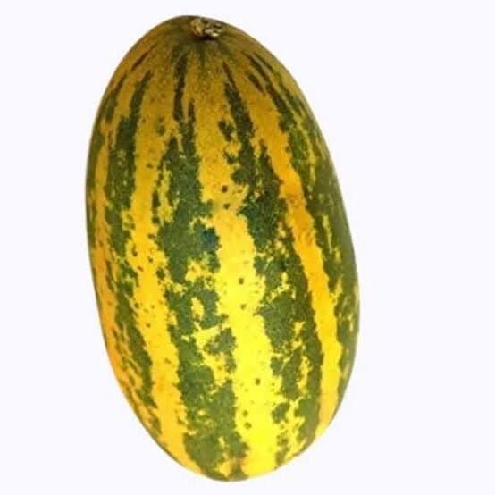 Sambar Cucumber