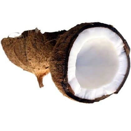 Coconut – 1pc (For Cooking)