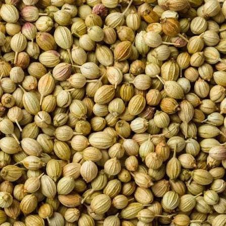 Coriander Seeds 250gm