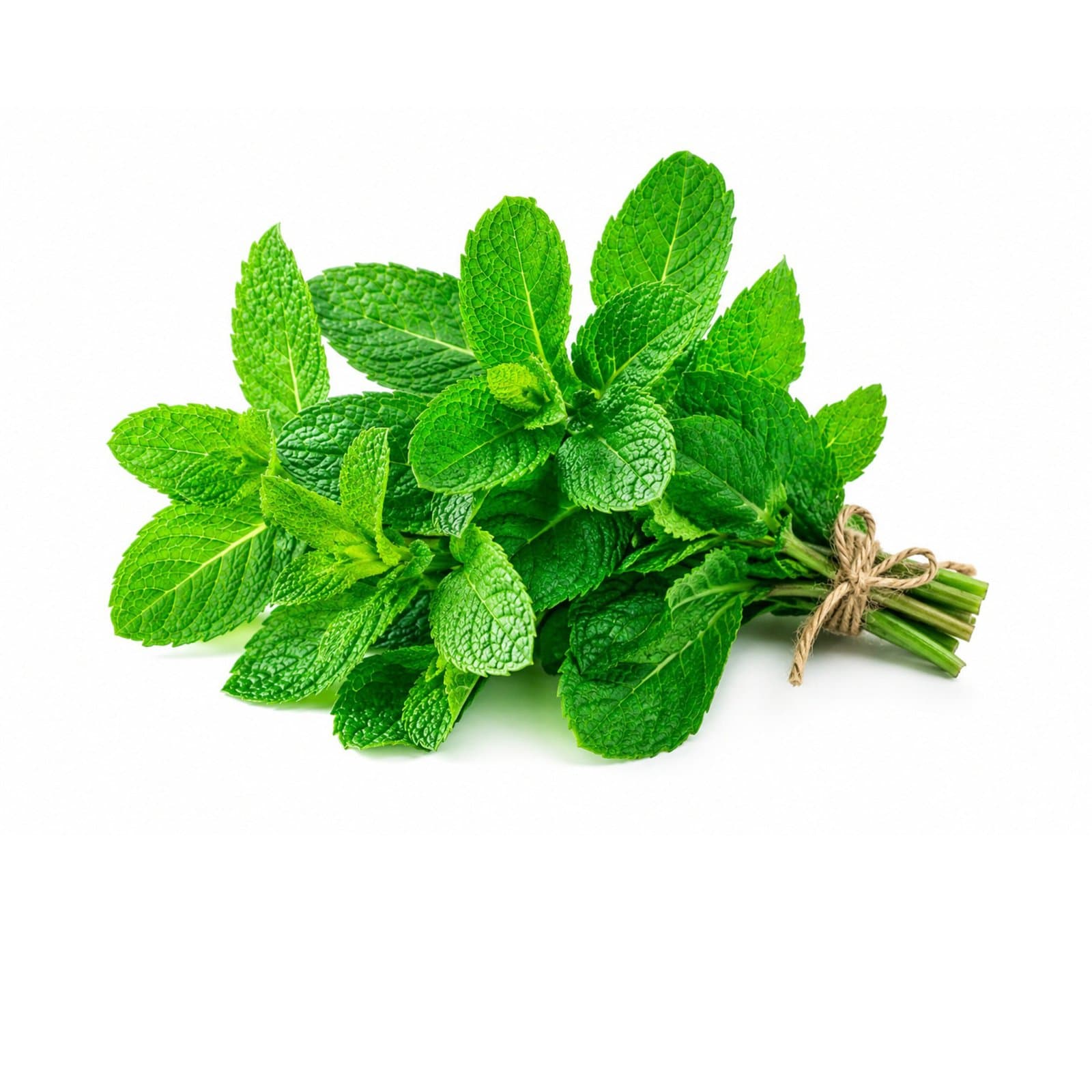 Mint
