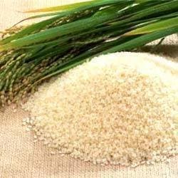 Rajmudi Polished Rice 1kg