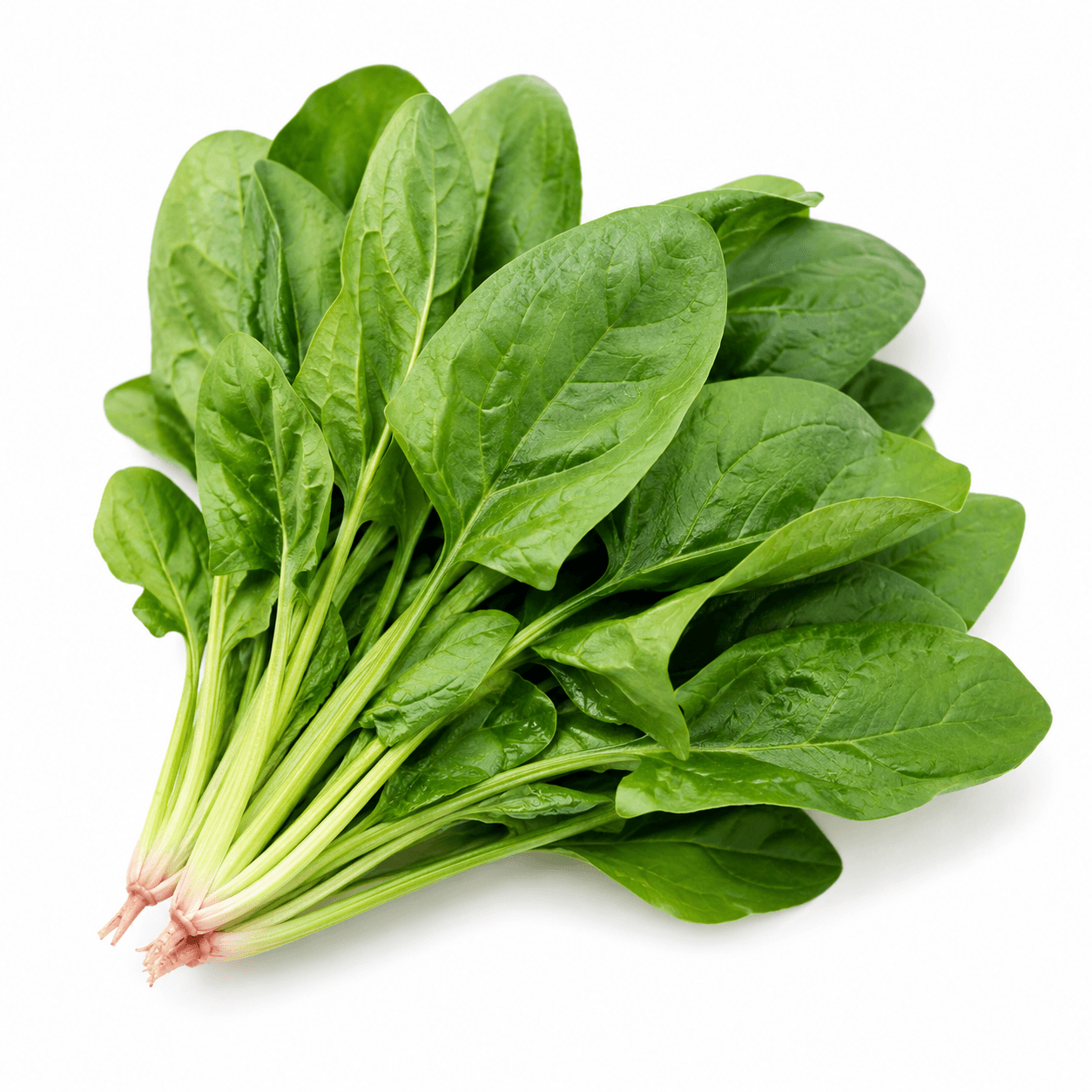 Spinach / Palak