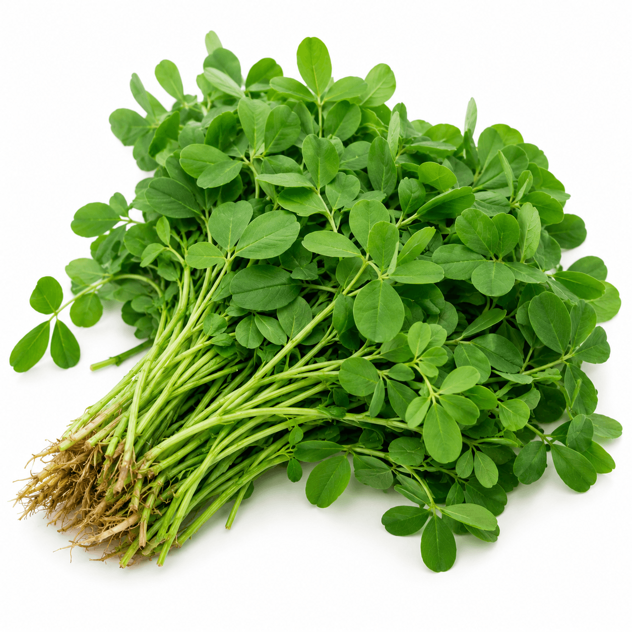 Menthya / Fresh Methi Greens