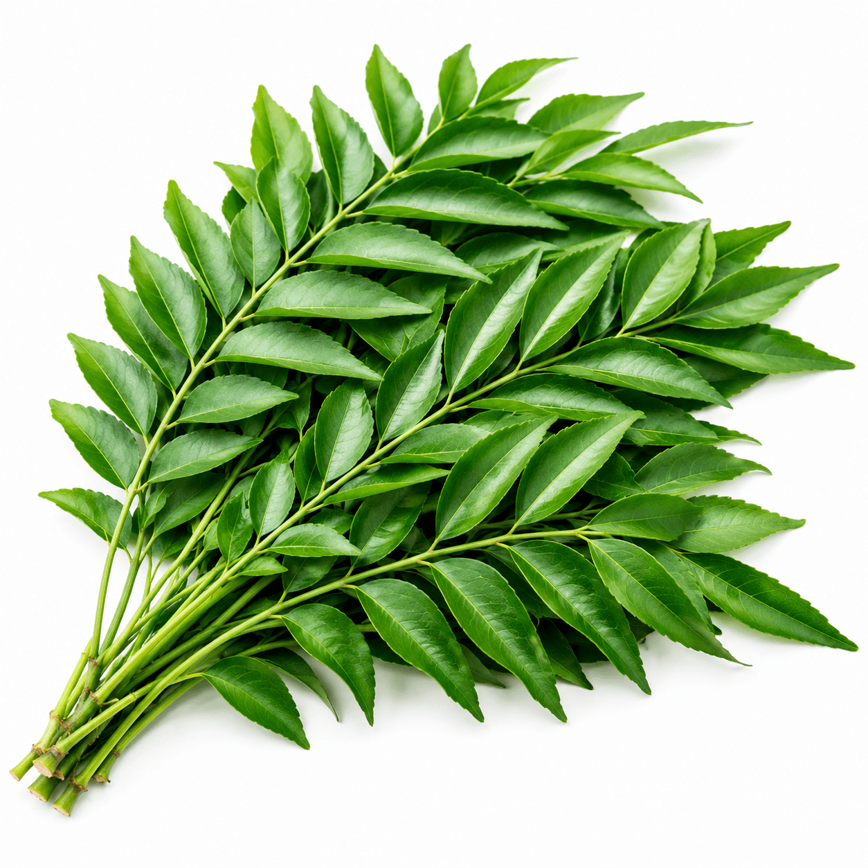 Curry Leaves / Karibevu