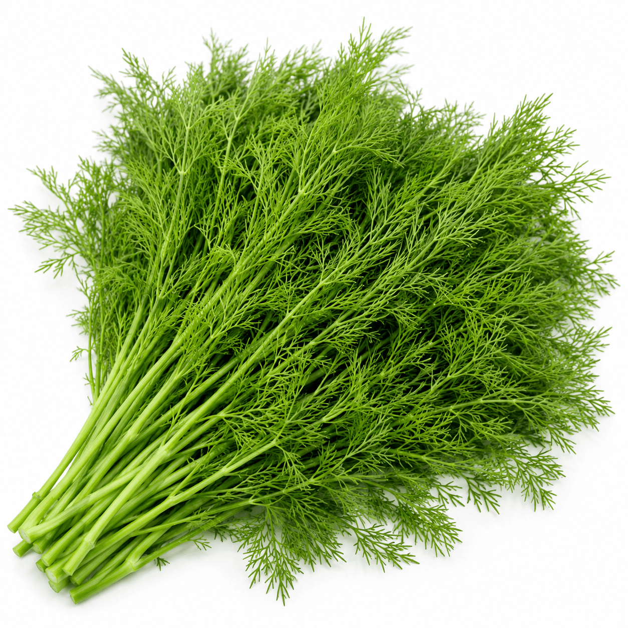 Sabbasige / Dill Leaves