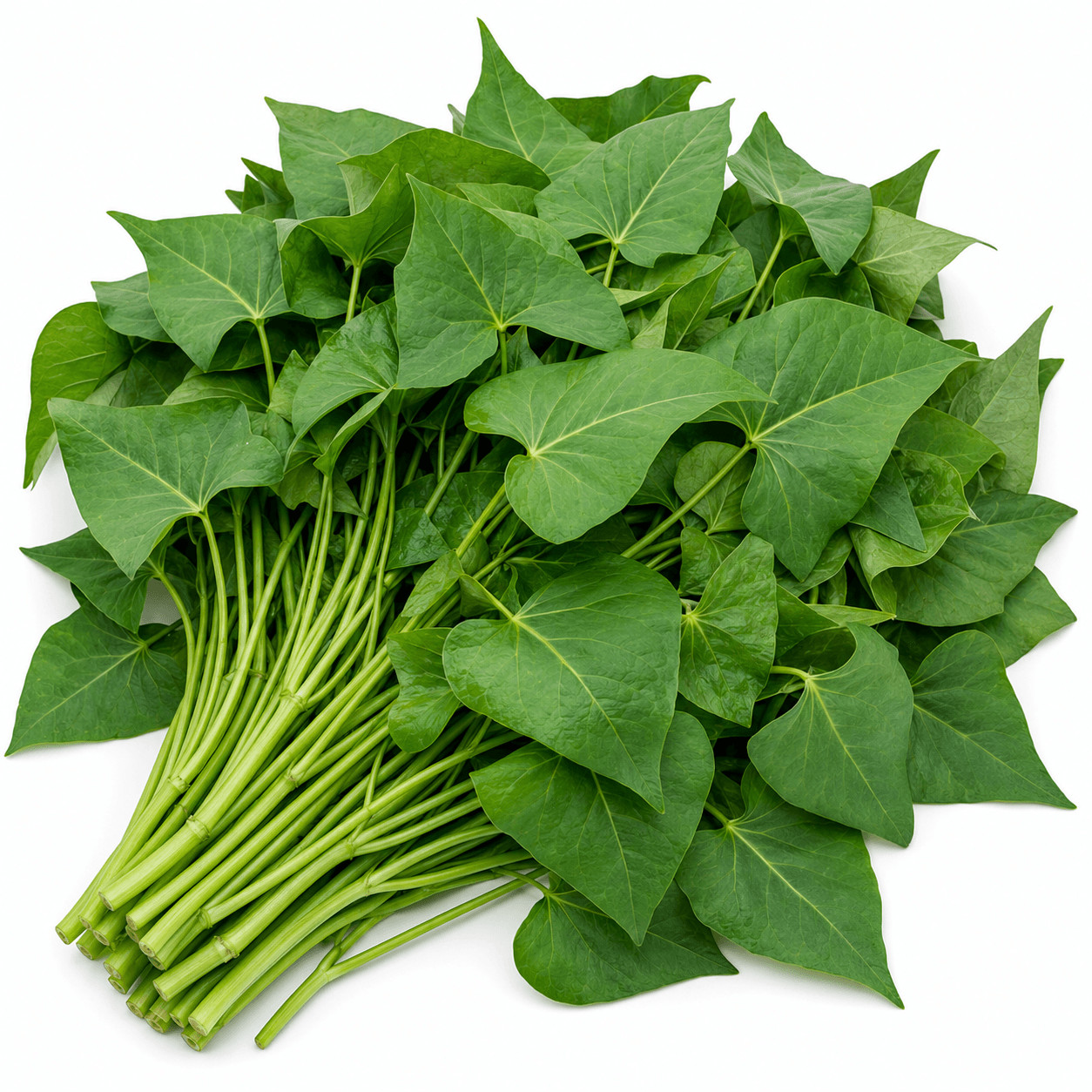 Hulisoppu Bunch