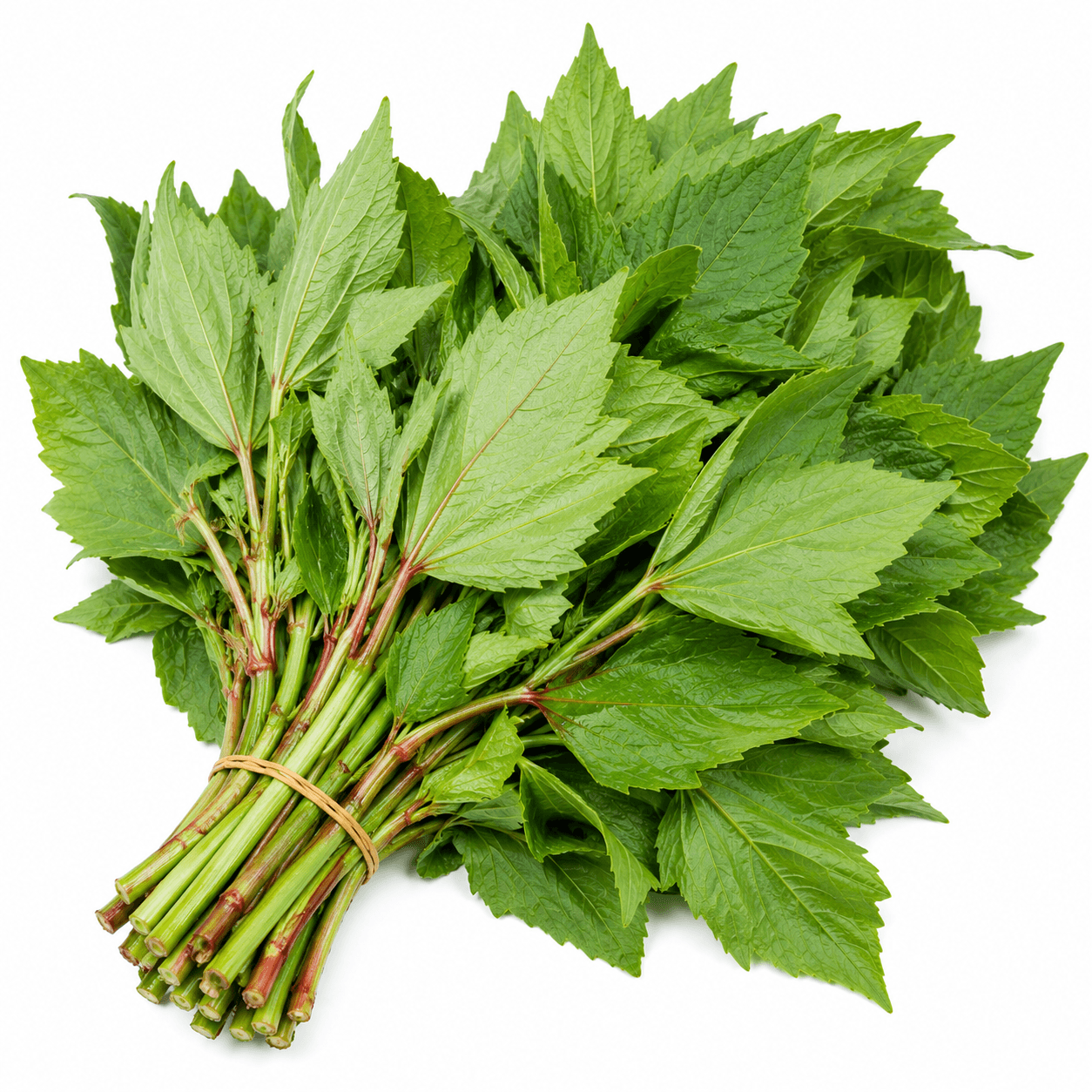 Gongura Bunch