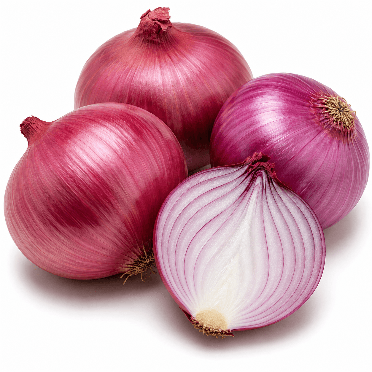 Onion