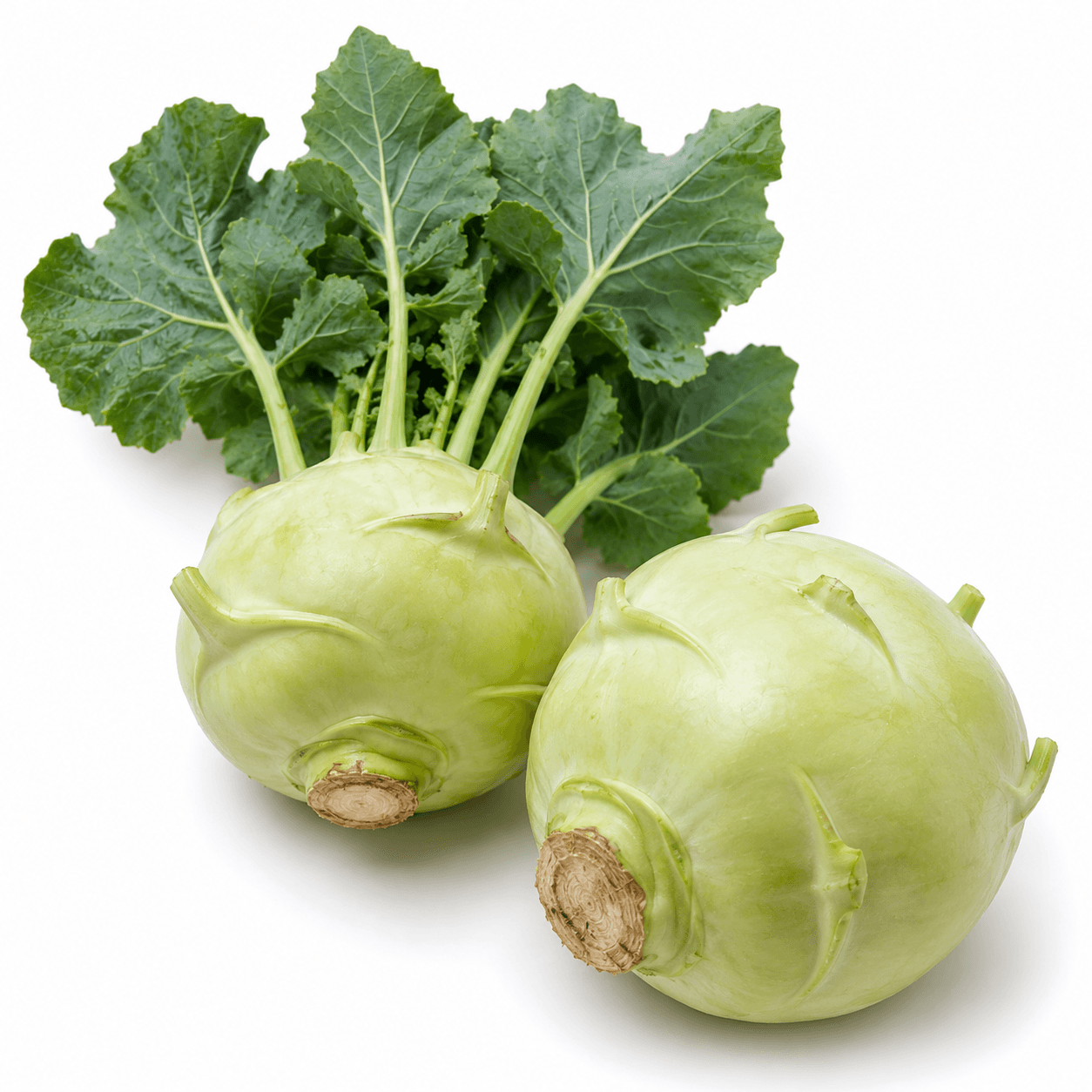 Knol Khol / Khol Rabi / Ghat Gobi