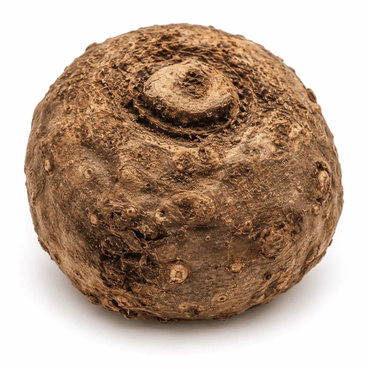 Arbi (Colocasia / Kesuvina Gedde)