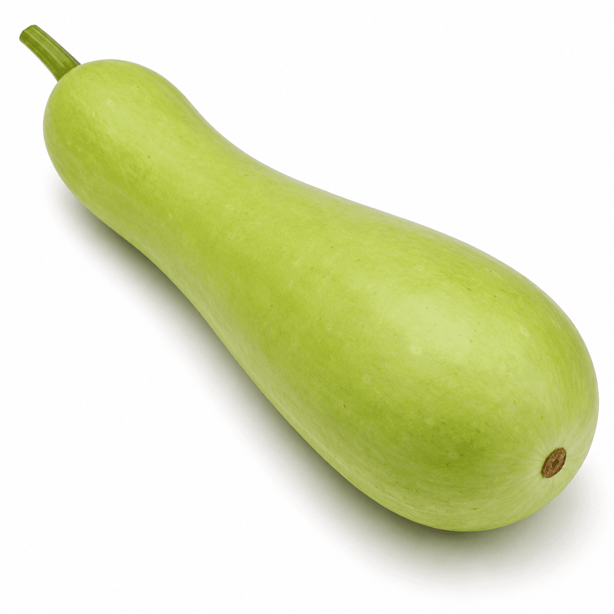 Bottle Gourd / Lokee