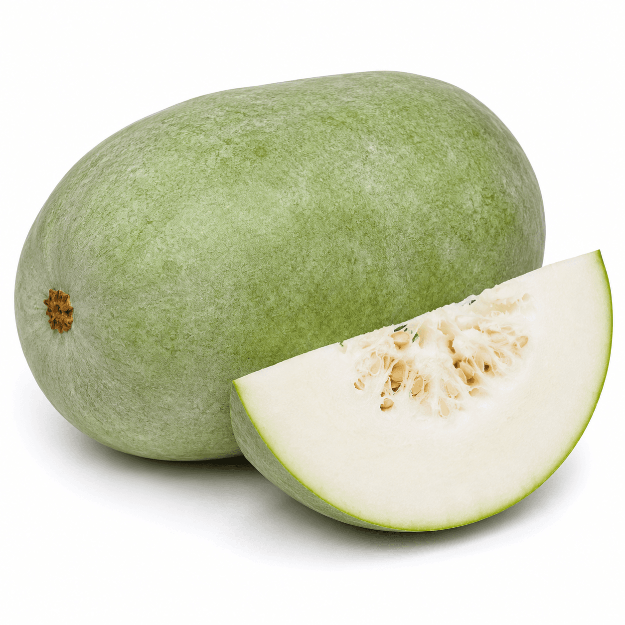 Ash Gourd / White Pumpkin