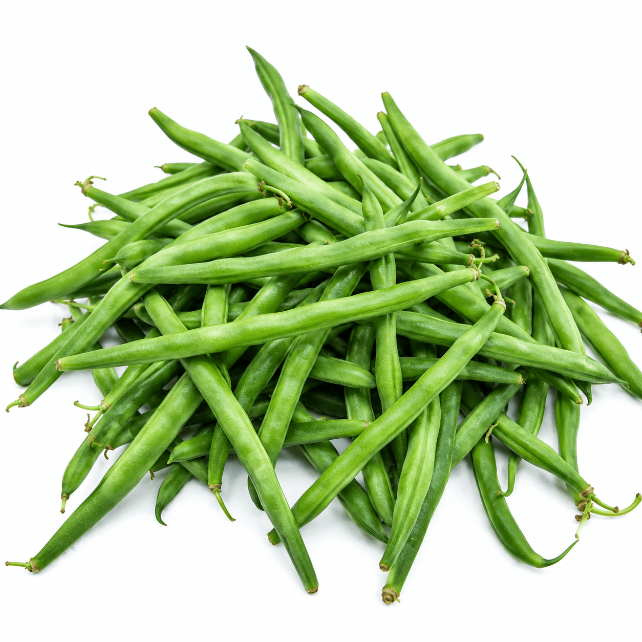 Beans Aricot / French Beans