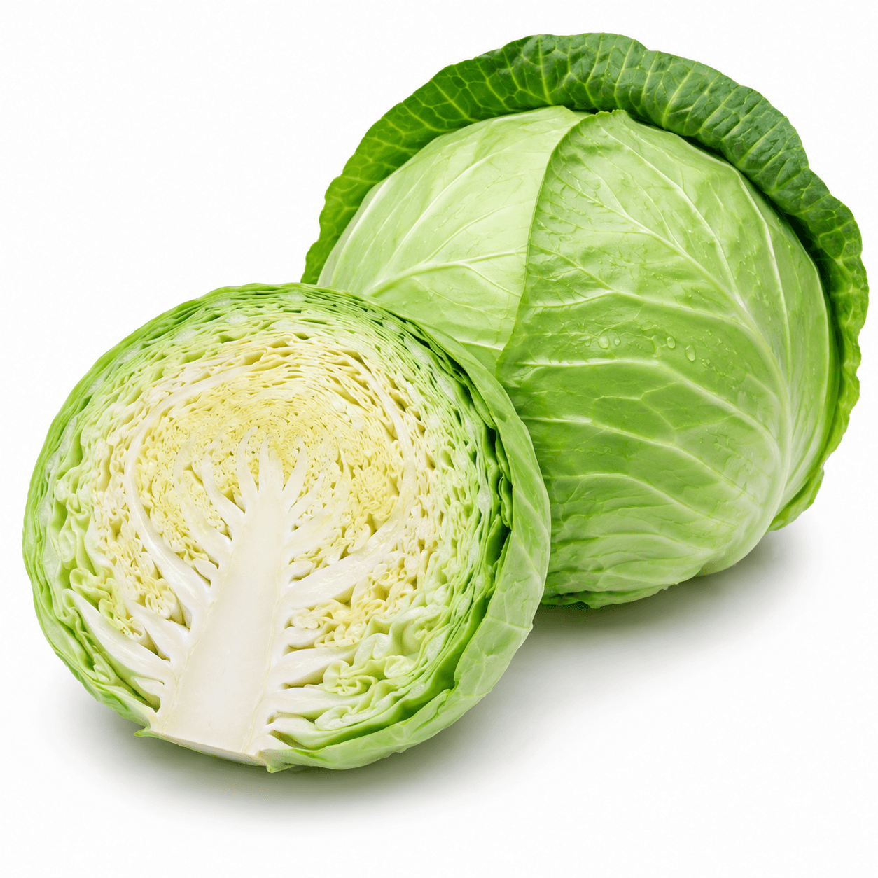 Cabbage