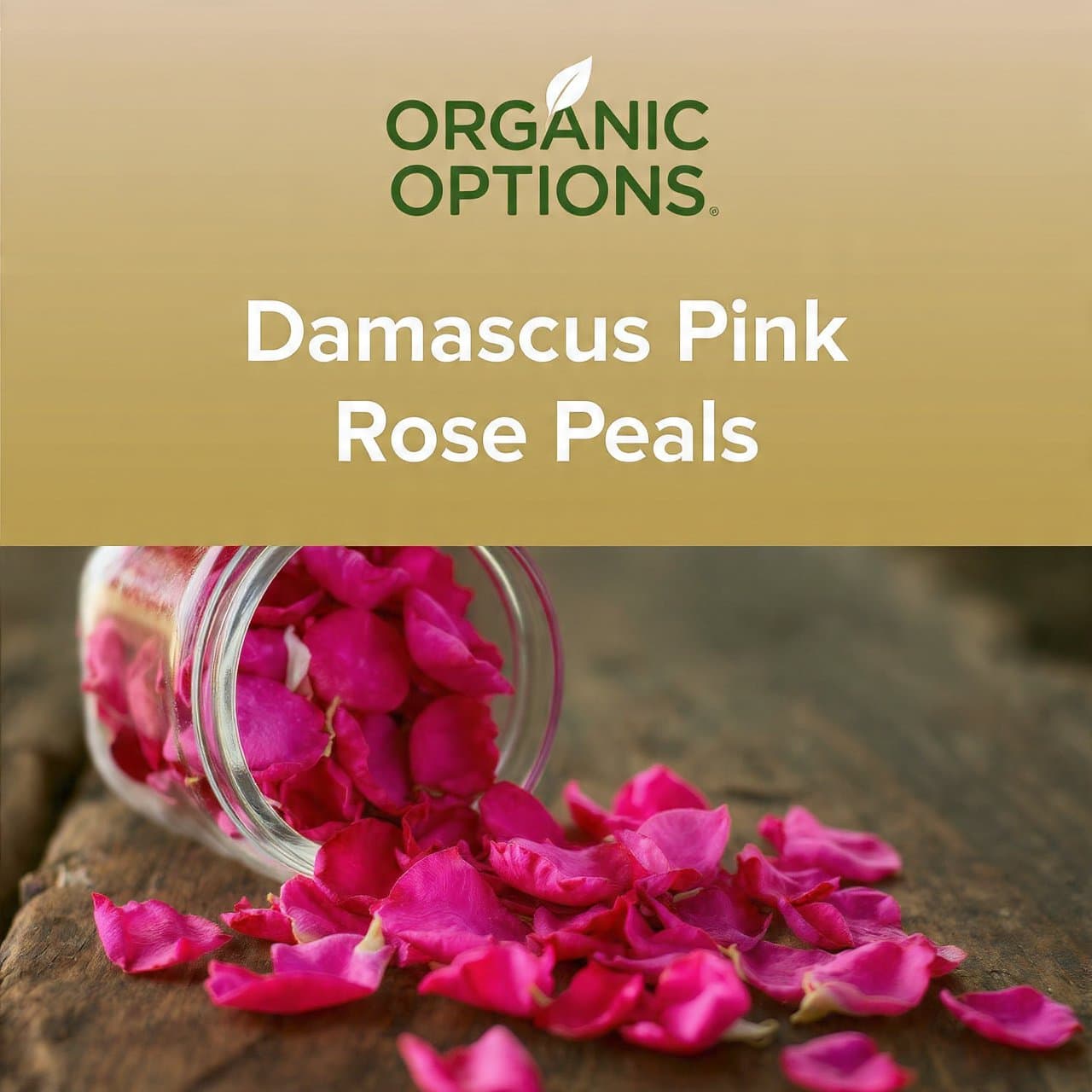 Damascus Rose Petals 20gm