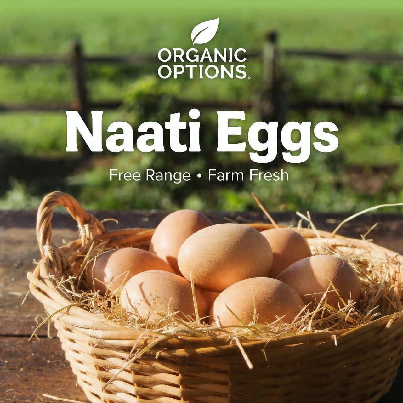 Naati Eggs