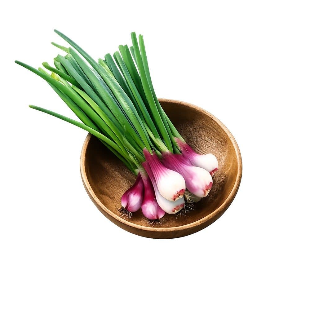 Spring Onion Bunch