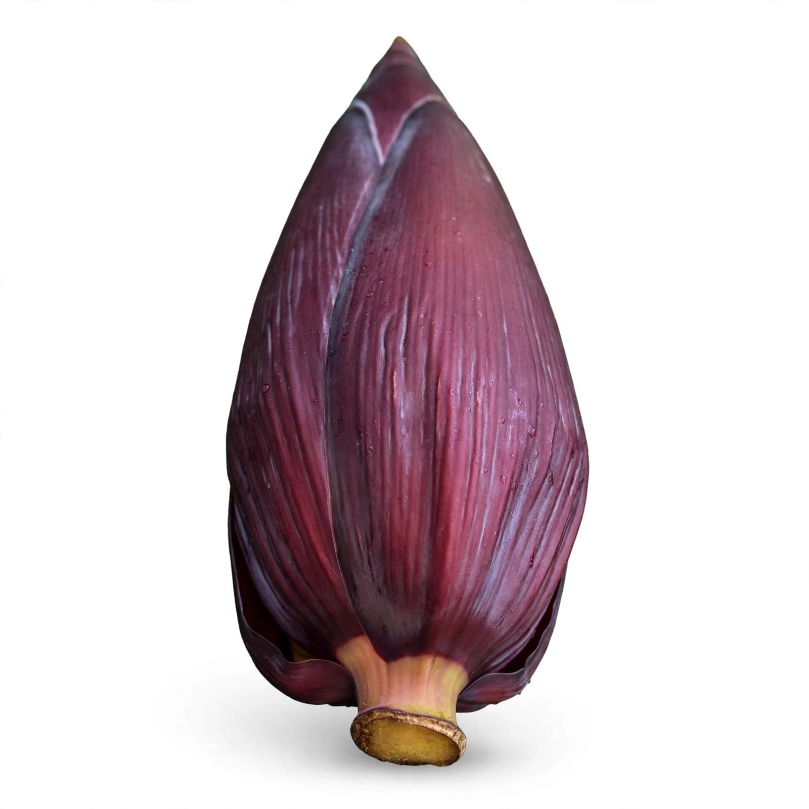 Banana Flower (Bale Hoovu / Vazhaipoo) β 1 Pc