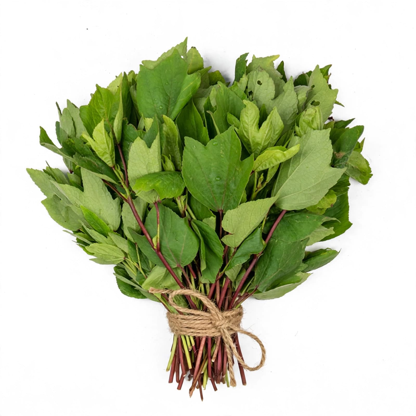 Hulisoppu (Gongura / Sour Leaves)