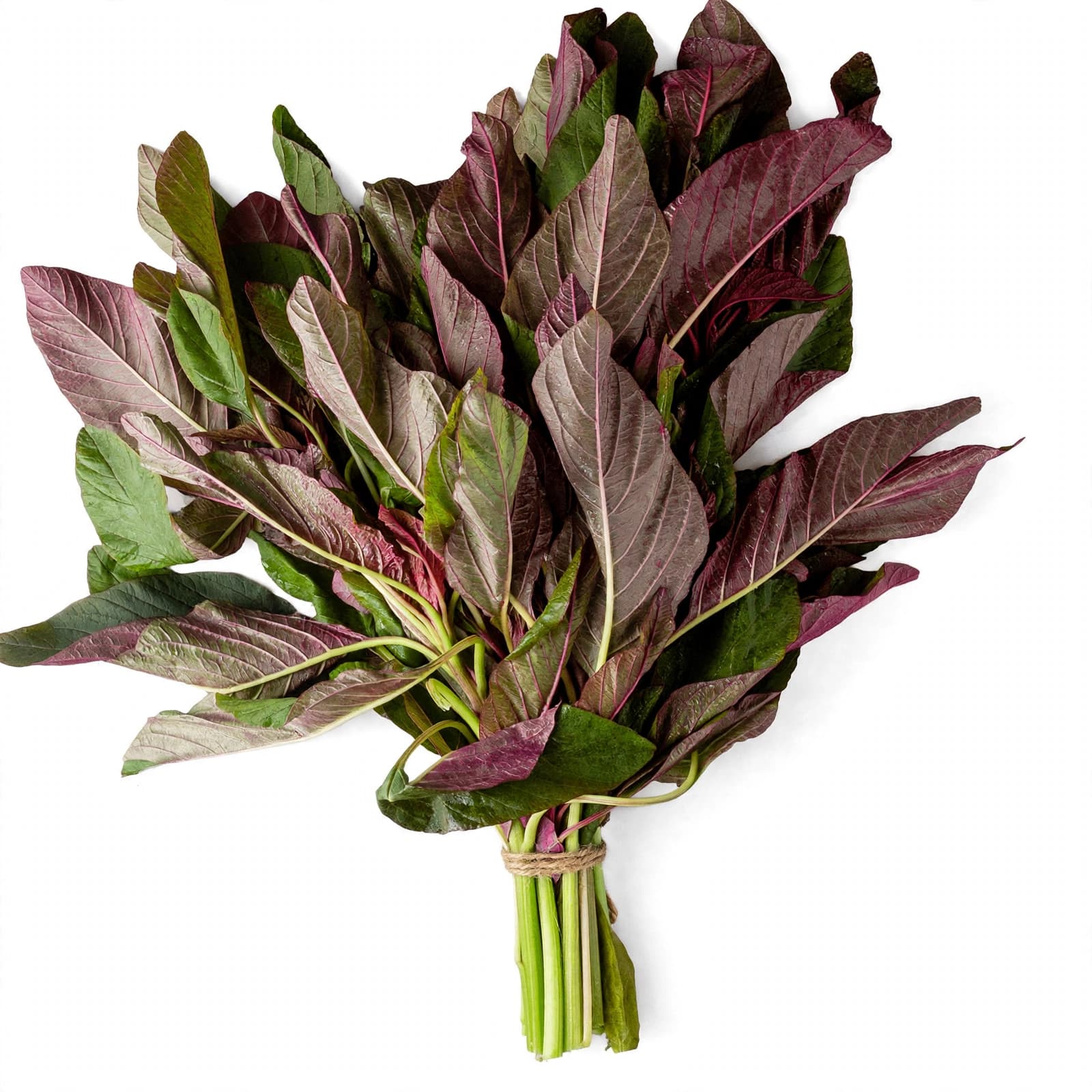 Red Amaranthus / Kempu Dhantu