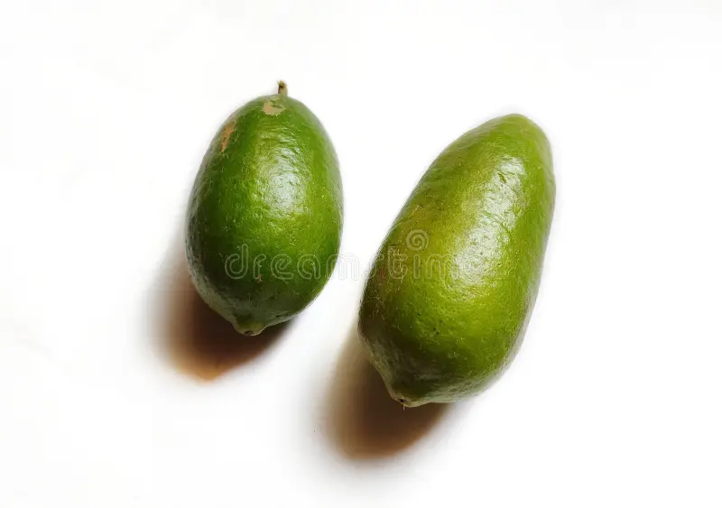 Gandhraj Lemon 1Pc