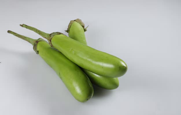 Long Brinjal Green